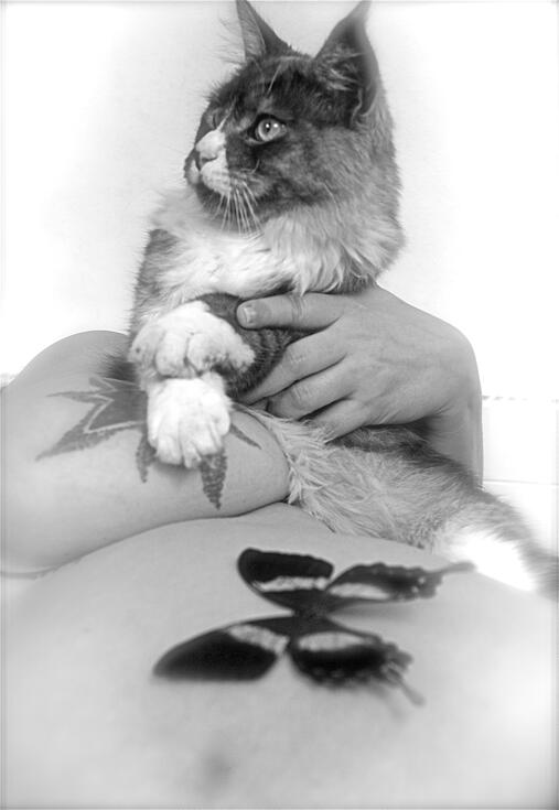 Untitled Untitled
